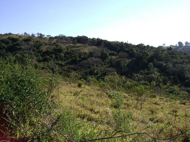 Fazenda Pinhal, MG Fazenda Pinhal, MG