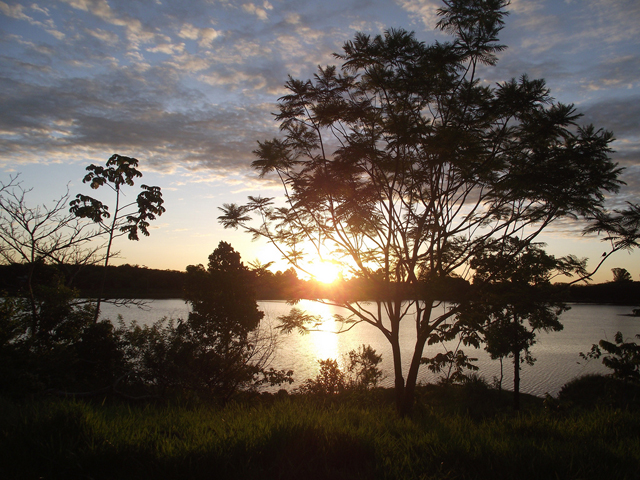 Felicidades Campo Grande