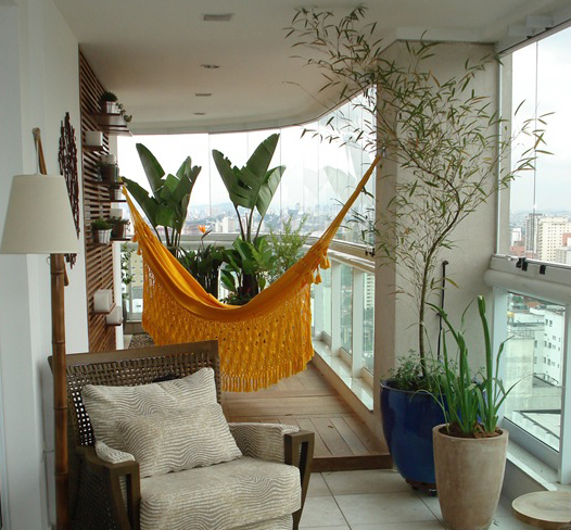 Plantas para interiores Deixe seu apartamento mais verde